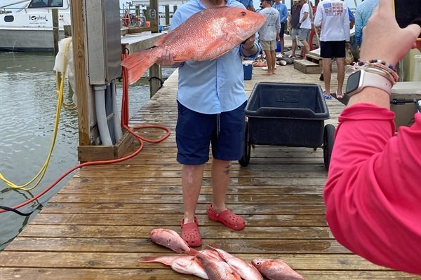 1943e8f81d304b7381851f8f1af3d421-Medium