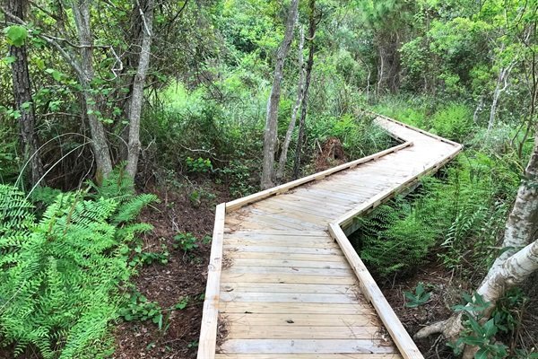 46a021d81d8f49f5939c4d89a610074c-Medium