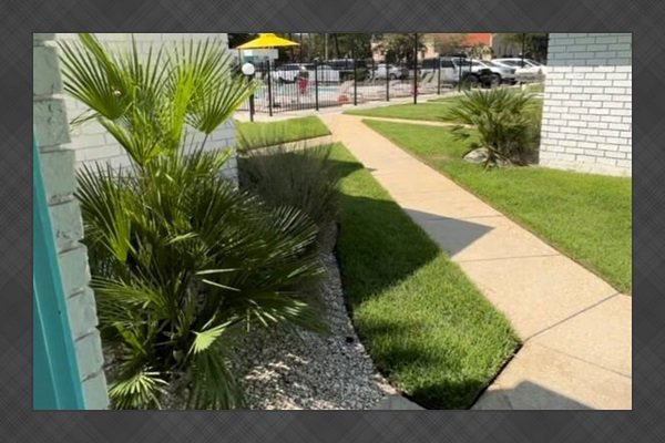 6ff3c951f0174e418fa31da1d24269af-Medium