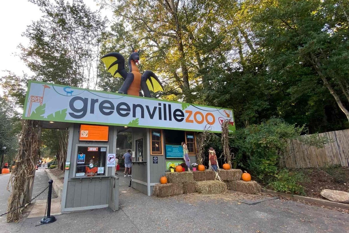 709450c58ab247d19dae92723caeb546-Large