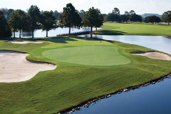 99b5956927a74231bcf71ea041d45d88-Medium