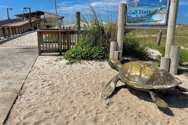 a684db3f7b75493b8d148ffcb912c2f6-Medium