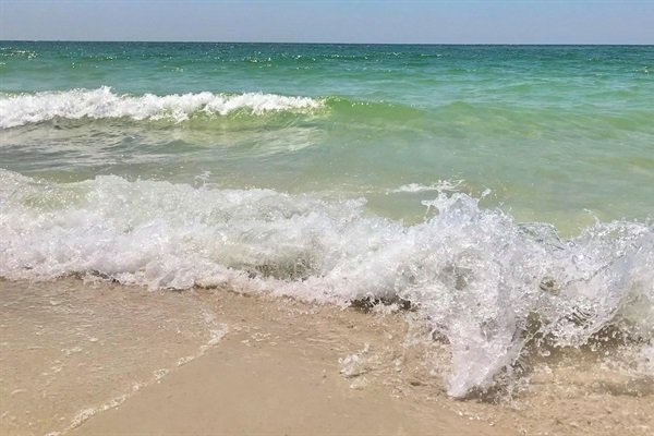 b141f825e22e43819f68c4fe012ef25b-Medium