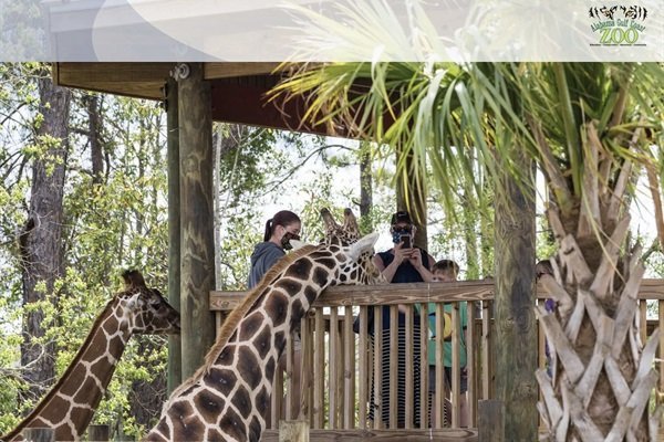 c90d8b6c14e74a83807a13b991295266-Medium